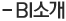 BI 소개